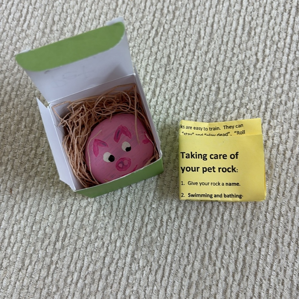 Pet rock